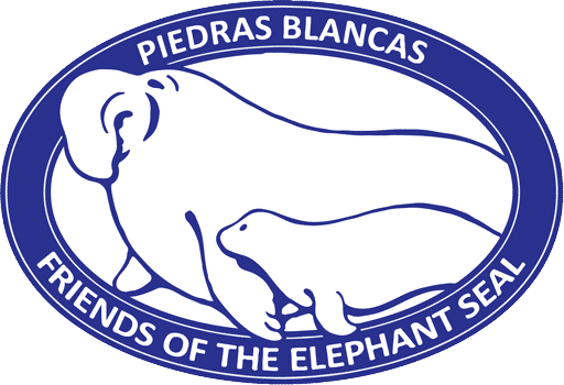 Friends of the Elephant Seal