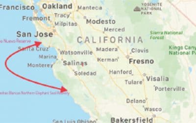 A Tale of Two Seals: Community Science At Piedras Blancas