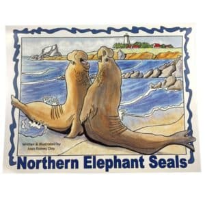 Book - Northern Elephant Seals Coloring Book