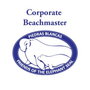 Corporate Beachmaster: ($2500)