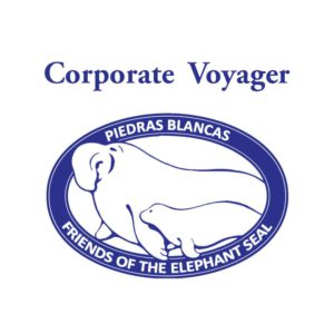 Corporate Voyager: ($5000 and up)