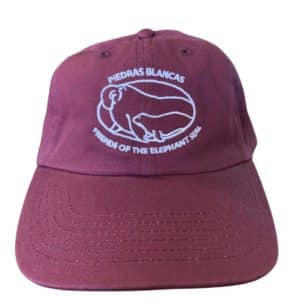 Cap Maroon