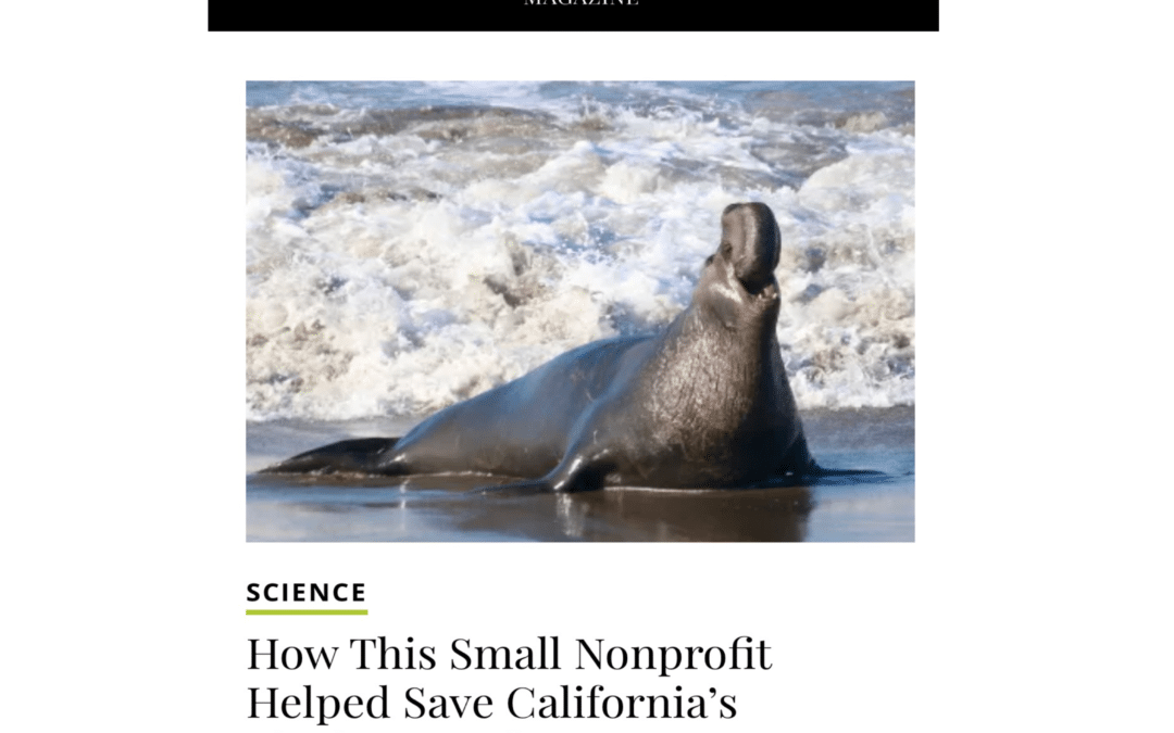 Smithsonian Magazine Features Friends of the Elephant Seal
