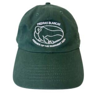 Cap Forest Green