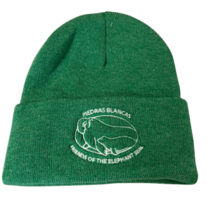 Beanie Heather Green
