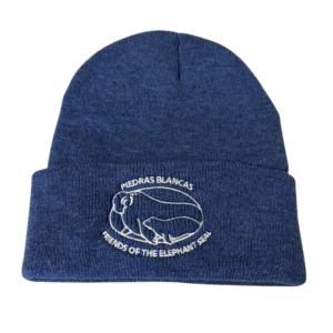 Beanie Heather Royal